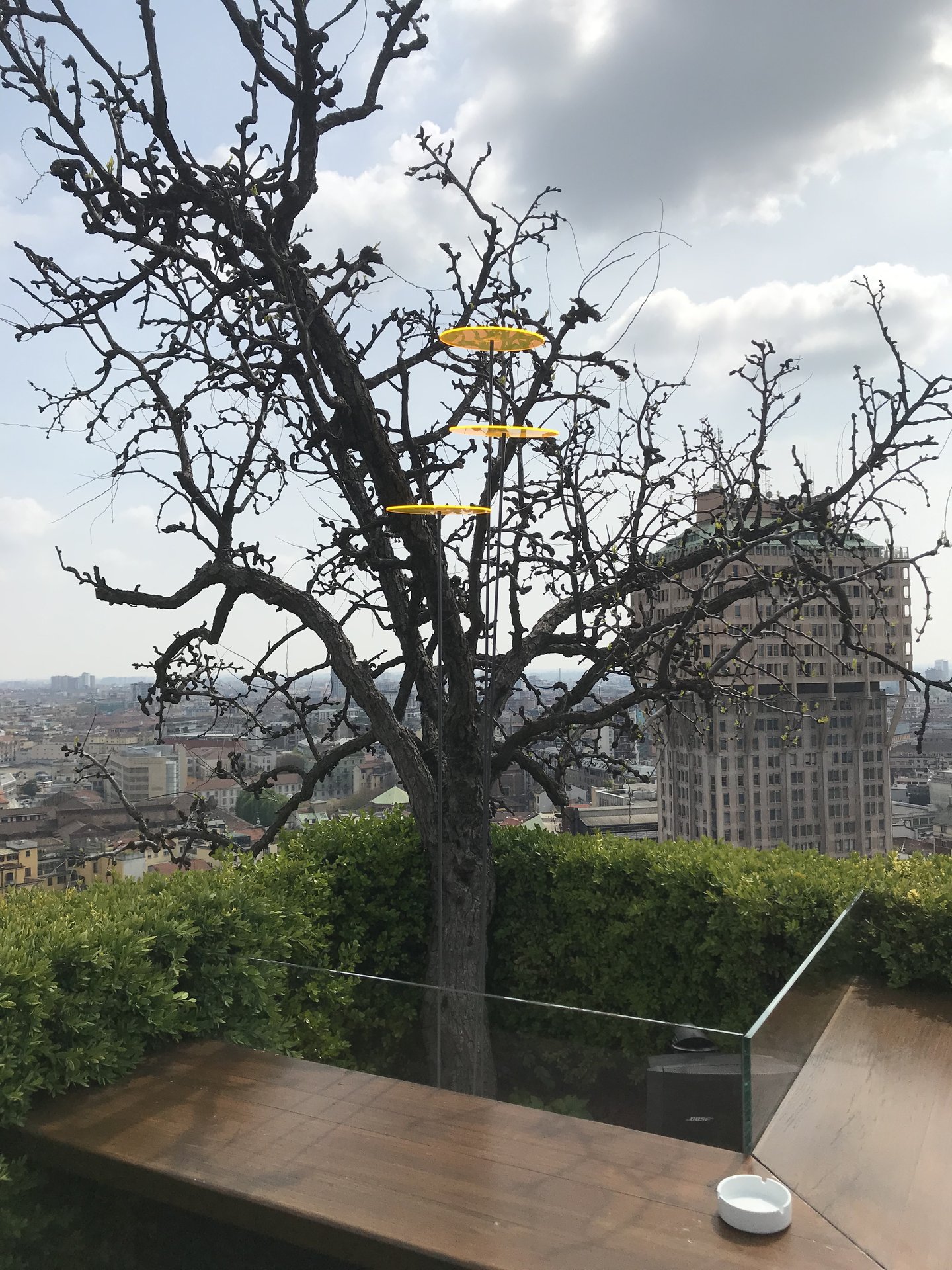 Tropischer Baum mit Ausblick auf Mailand